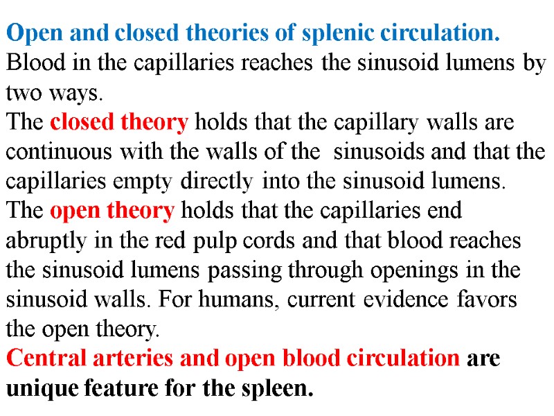 Open and closed theories of splenic circulation. Blood in the capillaries reaches the sinusoid